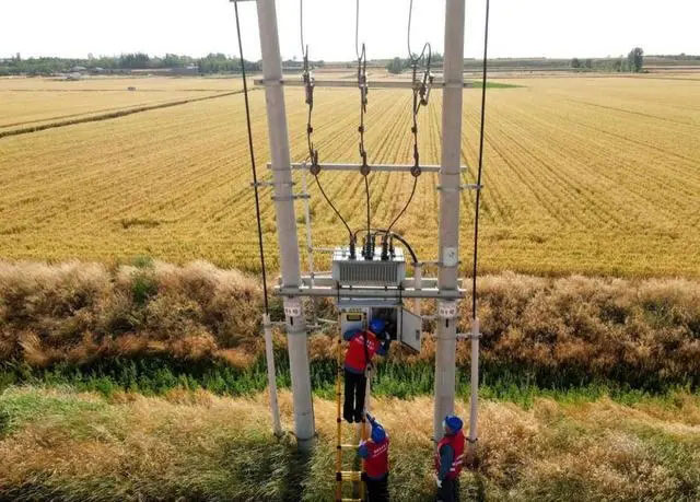 配電箱助力“電力?！报D農(nóng)民有了“電力?！碑a(chǎn)業(yè)發(fā)展質(zhì)效