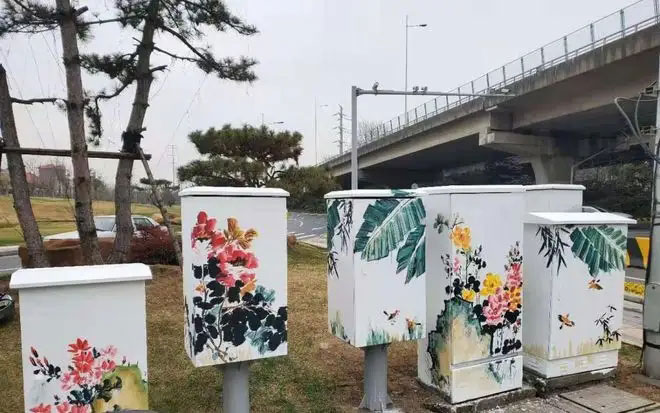 街頭配電箱變身“藝術(shù)品”，成為一道靚麗風景線