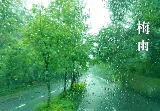 梅雨季節(jié)，如何解決配電箱回潮？給你支招